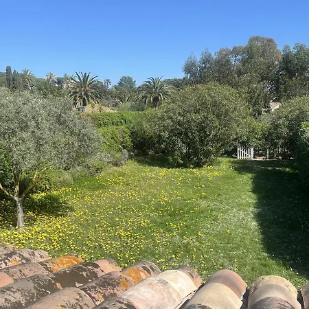Des Fleurs Saint-Tropez